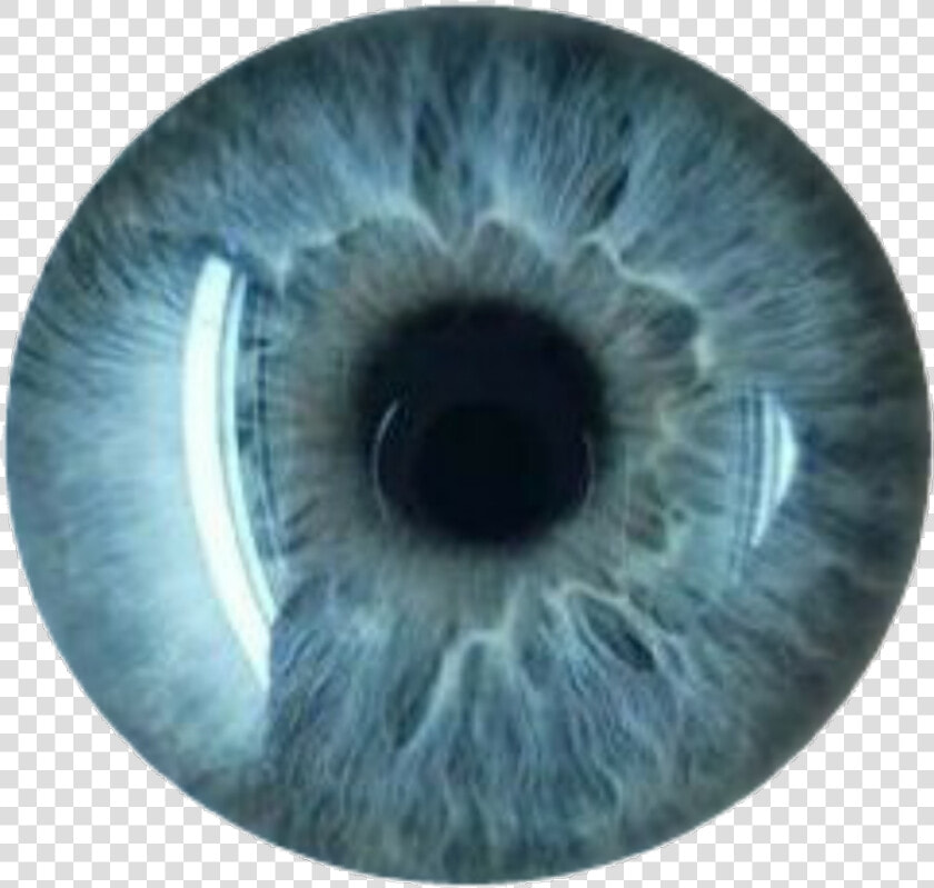  eye  eyes  lightblue  cool  cute  beautiful  tumblr   Grey Eyes Transparent Background  HD Png DownloadTransparent PNG