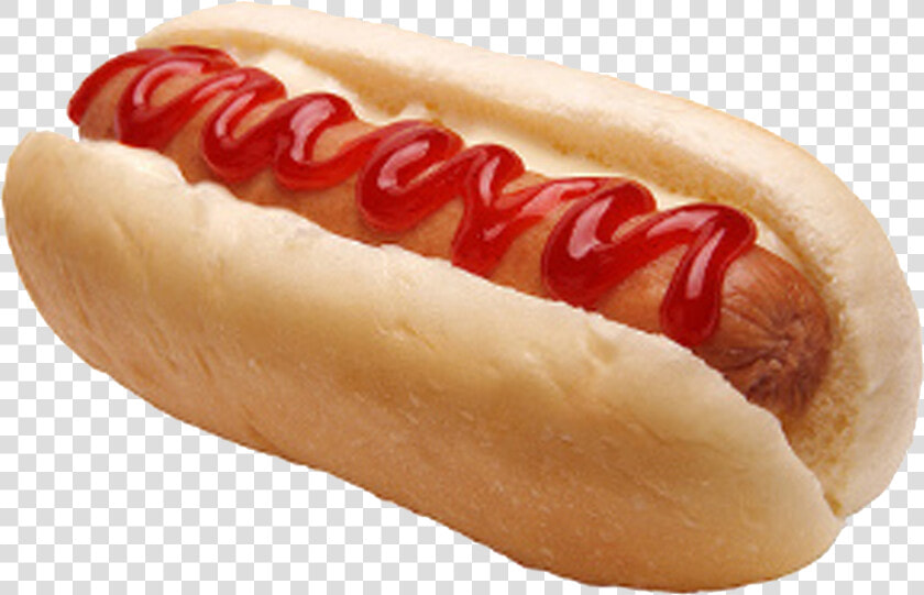 Transparent Hot Dog Clipart   Hotdog Sandwich  HD Png DownloadTransparent PNG