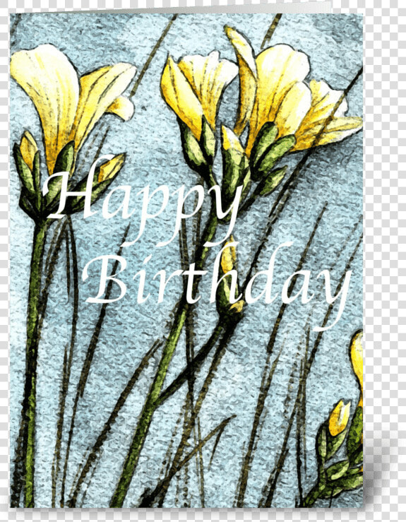 Field Flowers Greeting Card   Snow Crocus  HD Png DownloadTransparent PNG