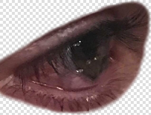 Transparent Crying Eyes Png   Crying Eyes Transparent  Png DownloadTransparent PNG