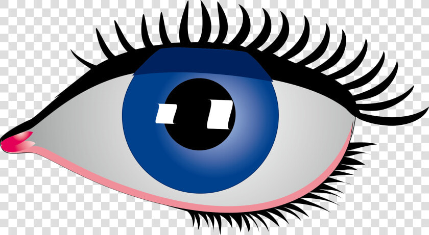 Vector Eyes Big Eye   Big Blue Eyes Cartoon  HD Png DownloadTransparent PNG