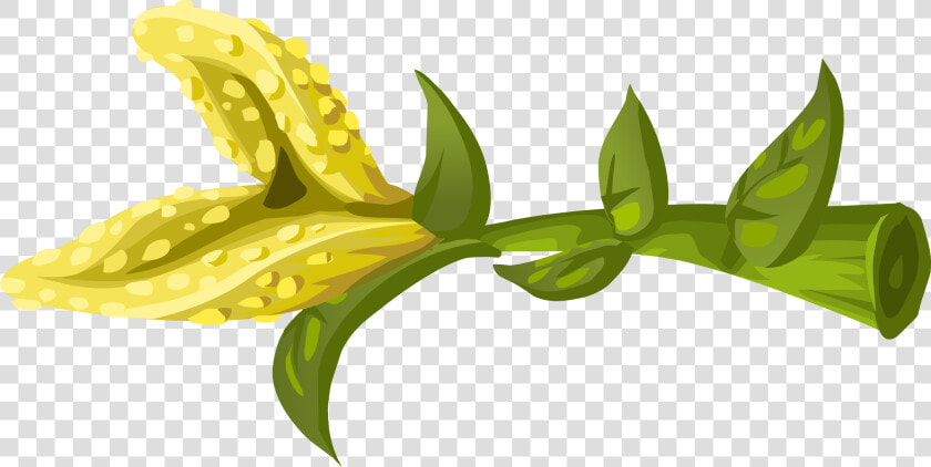 Herbs Yellow Crumb Flower Clip Arts   Portable Network Graphics  HD Png DownloadTransparent PNG