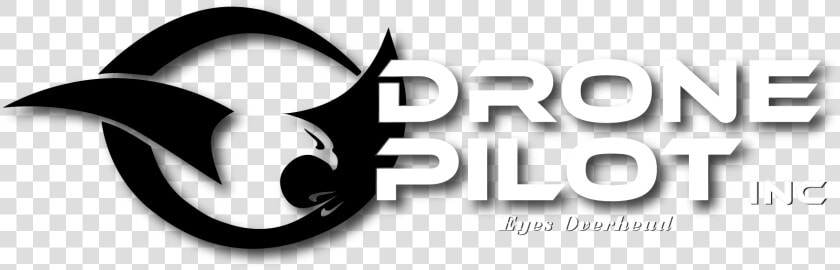 Drone Pilot  Inc   Logo Pilot Drone  HD Png DownloadTransparent PNG