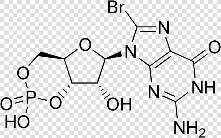 8 bromo Cyclic Gmp   2 Amino Terephthalic Acid  HD Png DownloadTransparent PNG