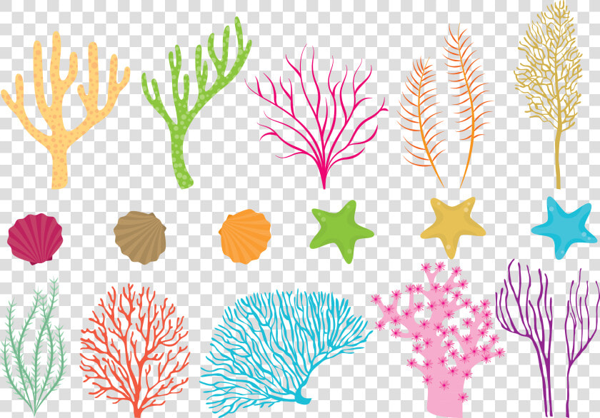 Clip Art Coral Reef Vector   Coral Reef Vector Png  Transparent PngTransparent PNG