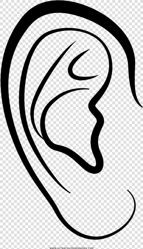 Ear Drawing Auricle Coloring Book   Ear For Coloring Png  Transparent PngTransparent PNG