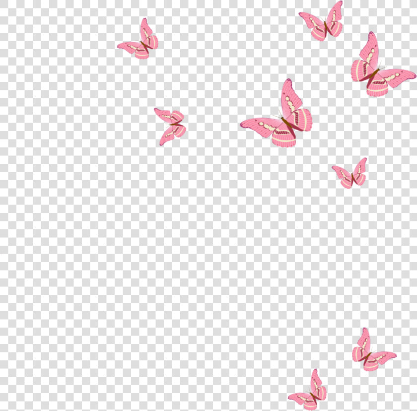  pink Butterfly   Pink Butterfly Png  Transparent PngTransparent PNG