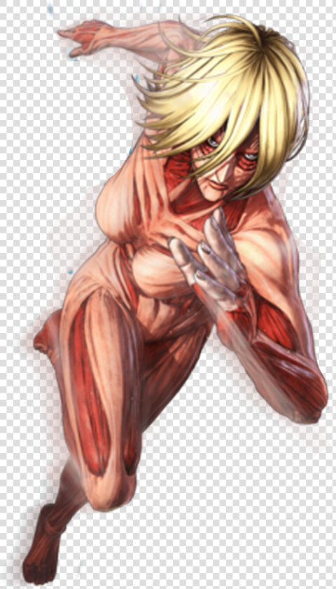 Colossal Titan Attack On Titan Png  Transparent PngTransparent PNG