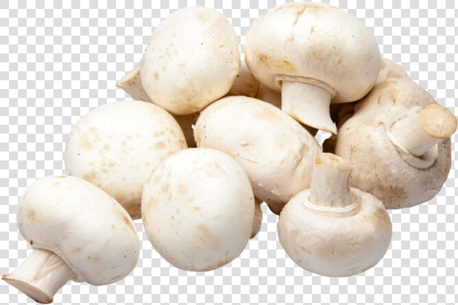 Champignon Mushroom  HD Png DownloadTransparent PNG