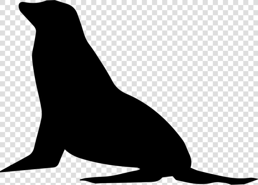 Seal Outline Png   Free Seal Lion Svg File  Transparent PngTransparent PNG