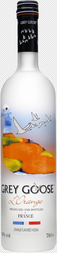 Grey Goose Vodka Orange Price  HD Png DownloadTransparent PNG