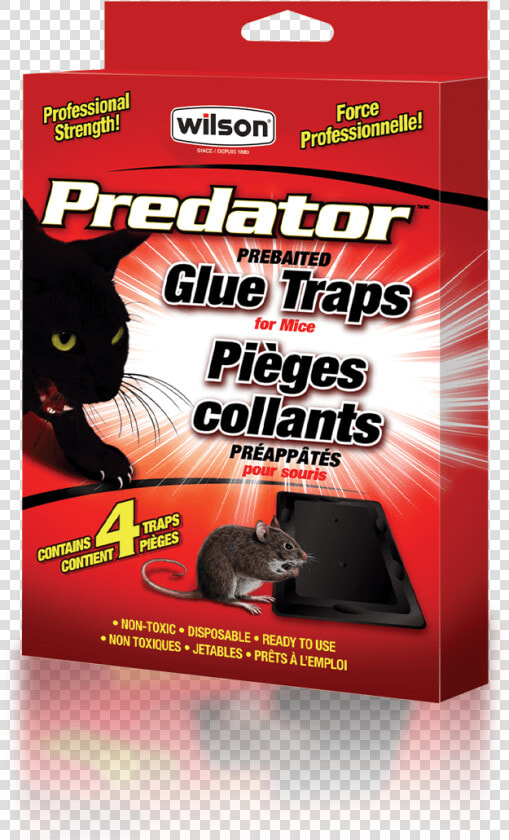 Wilson Predator Mice Glue Trap   Table Tennis Racket  HD Png DownloadTransparent PNG