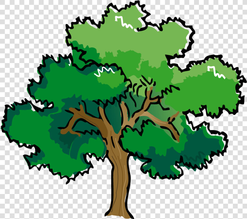 Transparent Blt Clipart   Large Oak Tree Clipart  HD Png DownloadTransparent PNG