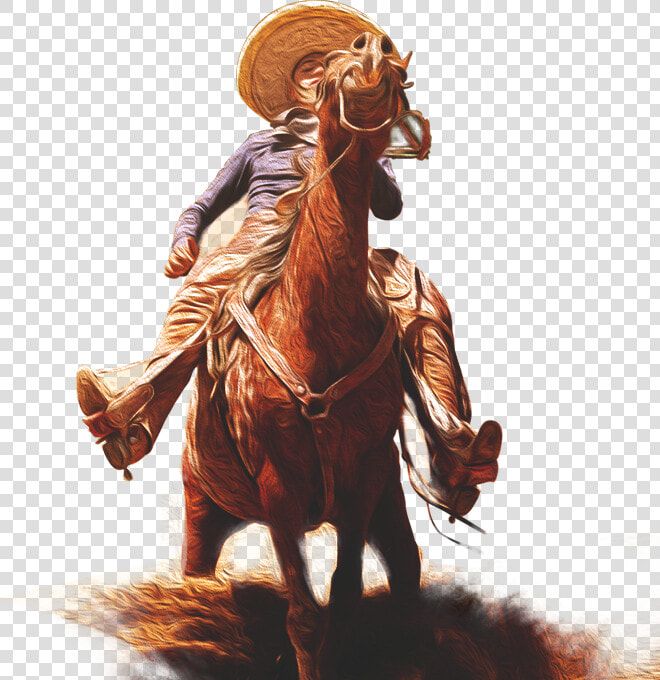 Transparent Charro Png   Charreria Png  Png DownloadTransparent PNG