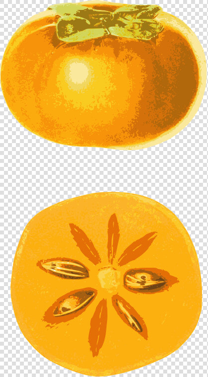 Persimmon  HD Png DownloadTransparent PNG