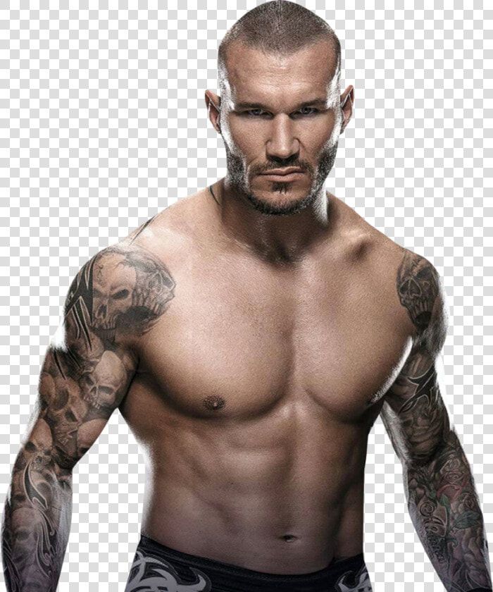 Randy Orton Rko Png  Transparent PngTransparent PNG