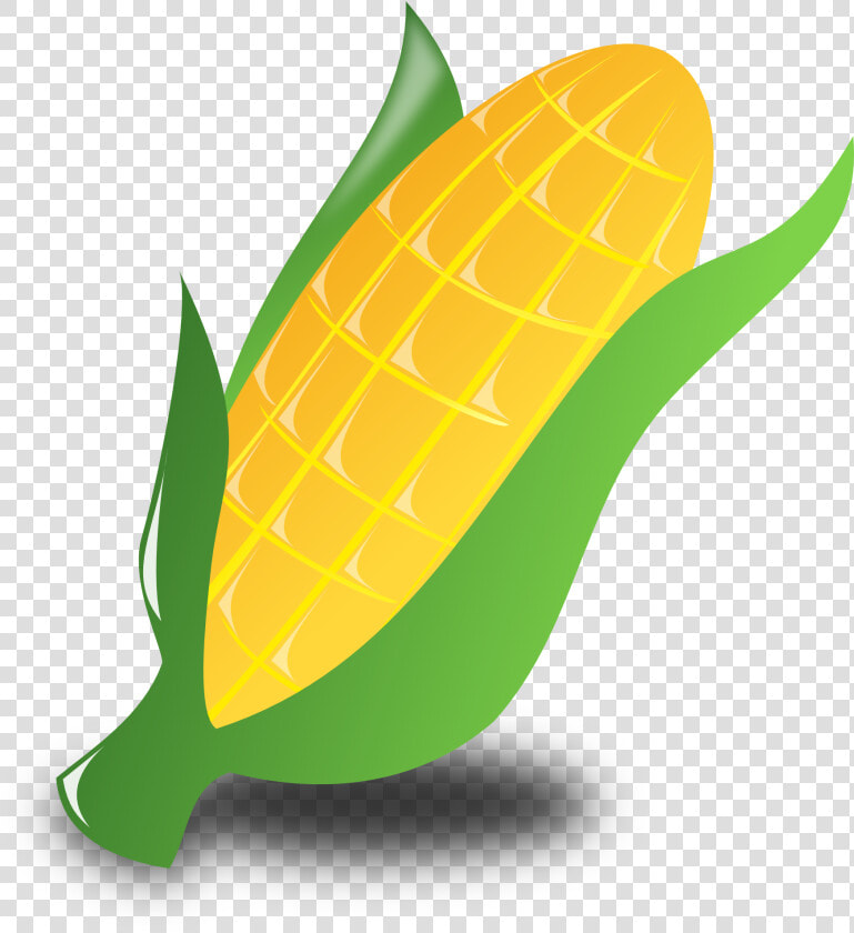 Corn  Crop  Harvest  Vegetables  Maize  Food  Kwanzaa   Corn Clipart Transparent  HD Png DownloadTransparent PNG