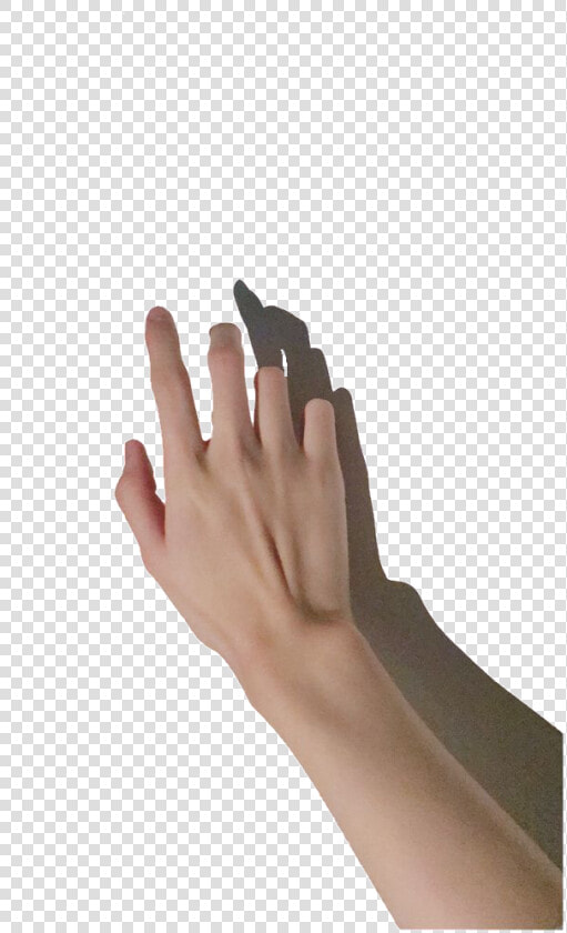 Hand Reference  HD Png DownloadTransparent PNG