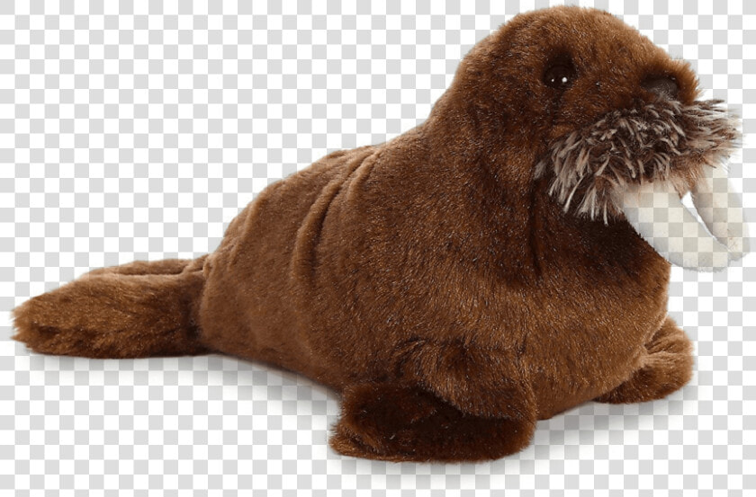 Walrus Png Free Download   Walrus Plush Png  Transparent PngTransparent PNG