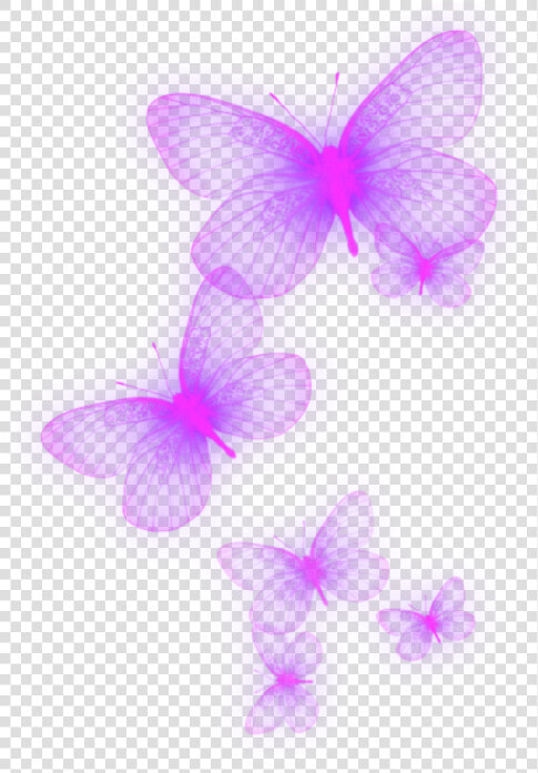  neon  purple  lila  butterfly  schmetterling   Pieridae  HD Png DownloadTransparent PNG