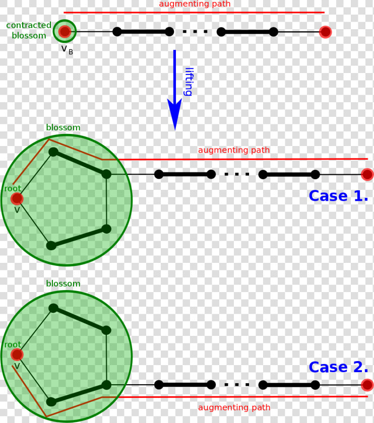 Edmond  39 s Blossom Shrinking Algorithm  HD Png DownloadTransparent PNG