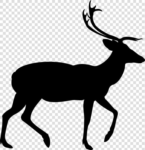 Deer Vector Graphics Clip Art Illustration Image   Portable Network Graphics  HD Png DownloadTransparent PNG