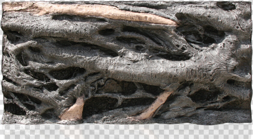 Driftwood  HD Png DownloadTransparent PNG