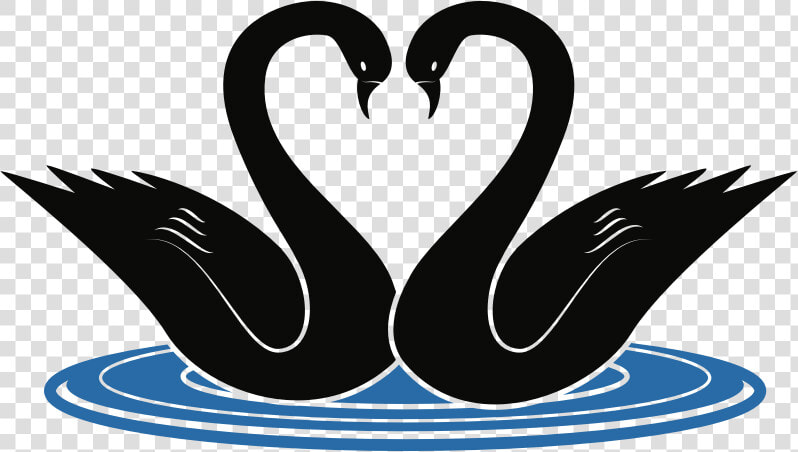 Swans   Swans Clipart  HD Png DownloadTransparent PNG