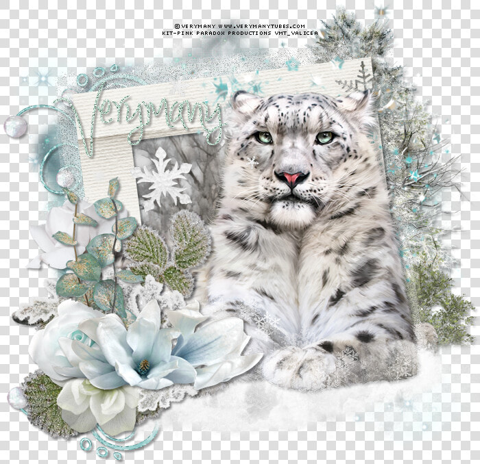 Snow Leopard By Verymany Found Here  HD Png DownloadTransparent PNG