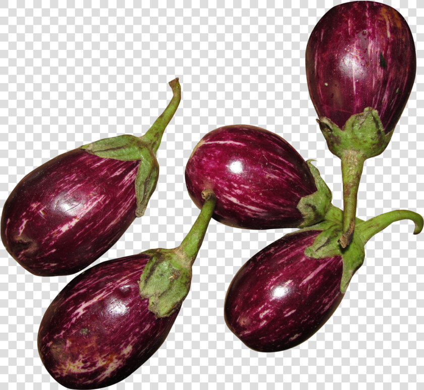 Brinjal Part Png  Transparent PngTransparent PNG