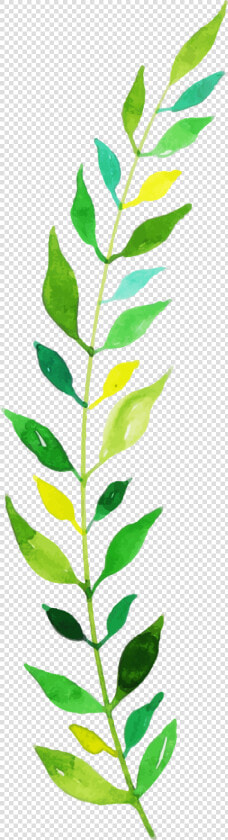 Houseplant  HD Png DownloadTransparent PNG