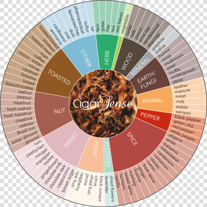 Pipe Tobacco Flavor Wheel  HD Png DownloadTransparent PNG