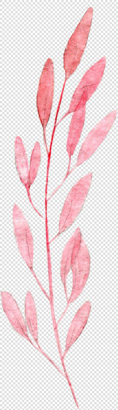 Ovate Leaf Pink Plant Illustration Watercolor Painting   Leaf Watercolor Paint Png  Transparent PngTransparent PNG