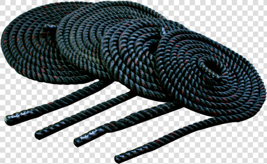 Fitness Training Ropes   Body Solid Fitness Training Rope  HD Png DownloadTransparent PNG