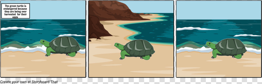 Storyboardthat Beach  HD Png DownloadTransparent PNG