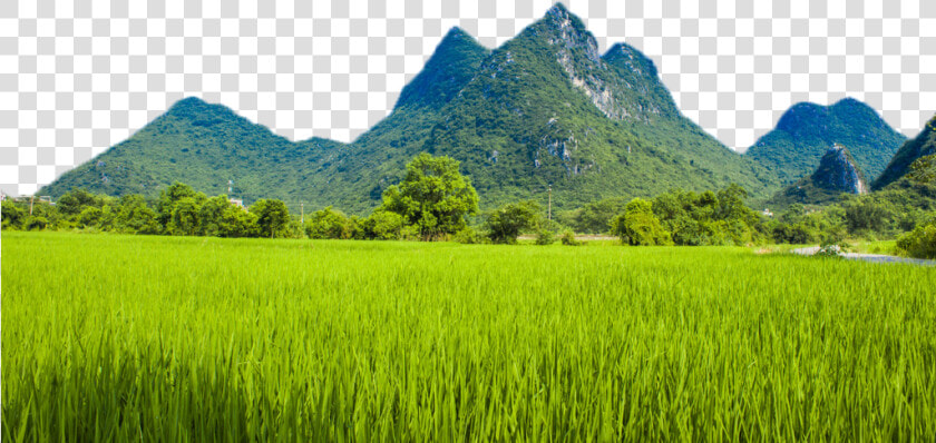 Transparent Mountains Clipart Png   Mountains And Paddy Fields  Png DownloadTransparent PNG