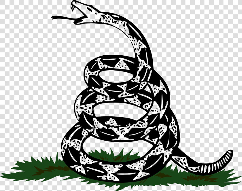 Gadsden Flag Png   Don T Tread On Me Snake Vector  Transparent PngTransparent PNG