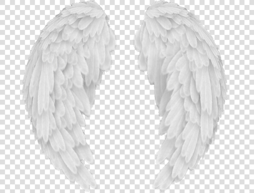 Angel Wings Png Baby Angel Wings Background   Transparent Background Angel Wings Png  Png DownloadTransparent PNG