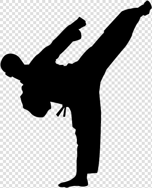 Karate Kick Png Photo   Clipart Karate  Transparent PngTransparent PNG