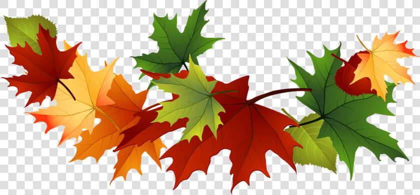 Fall Leaves Clip Art Free Fall Transparent Leaves   Green Fall Leaves Clip Art  HD Png DownloadTransparent PNG