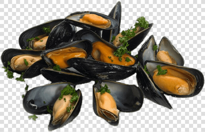 Mejillones Cocidos Con Perejil   Fowey Mussels  HD Png DownloadTransparent PNG