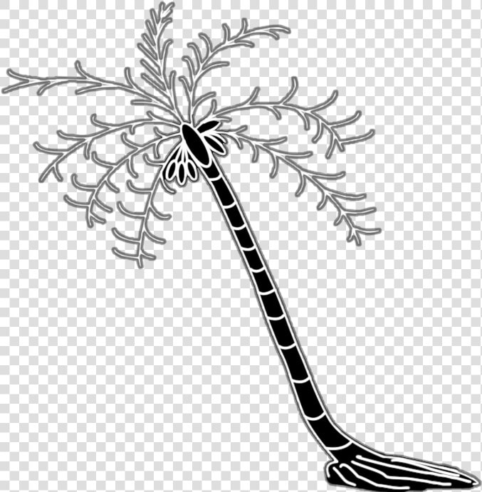 How To Draw Coconut Tree Drawing Easy 8 Steps  HD Png DownloadTransparent PNG