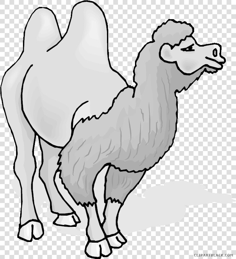 Clipartblack Com Animal Free   Camel Gif Png  Transparent PngTransparent PNG