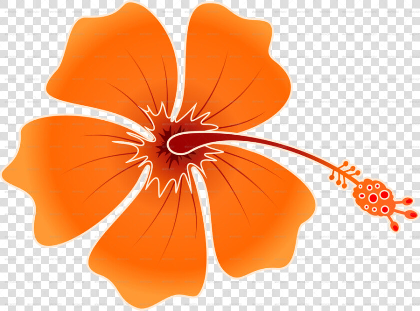 Hibiskis Png Clipart Shoeblackplant Roselle   Hawaiian Flower Png  Transparent PngTransparent PNG