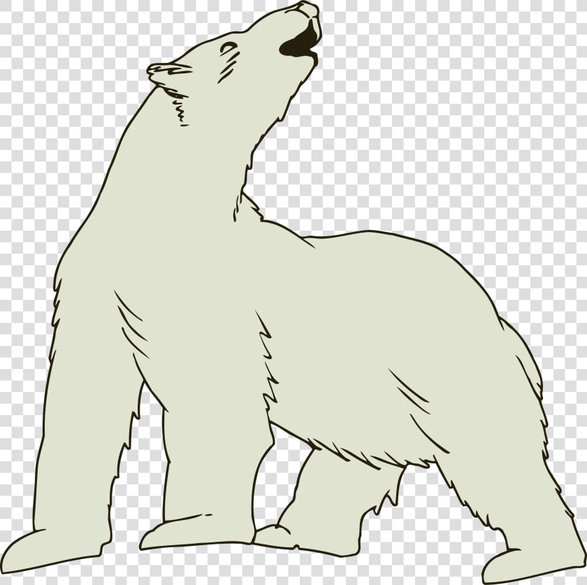 Polar Bear 3 Clip Arts   Clip Art Polar Bear  HD Png DownloadTransparent PNG