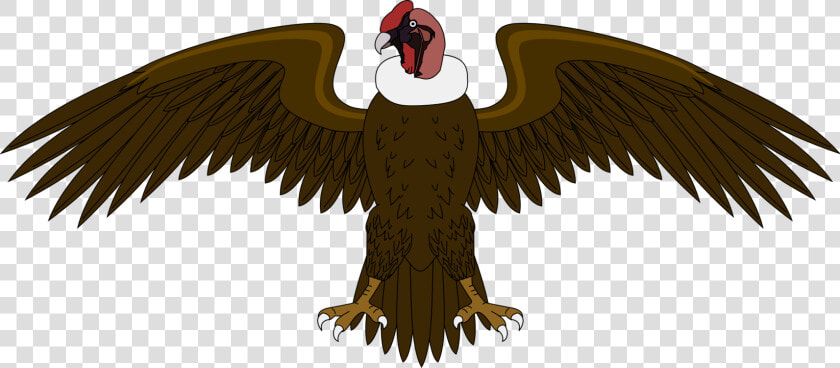 Eagle bald Eagle vulture   El Condor Del Escudo De Colombia  HD Png DownloadTransparent PNG