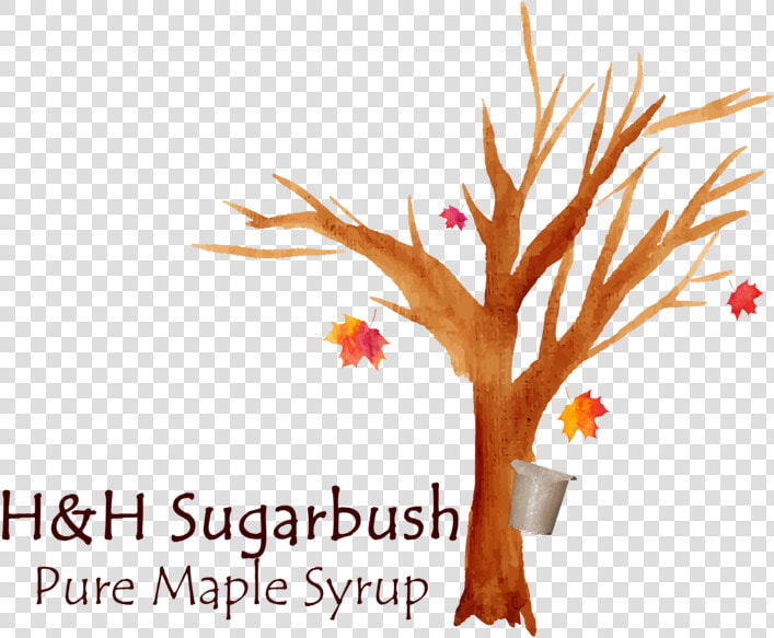 Hh Sugarbush Color Logo  HD Png DownloadTransparent PNG