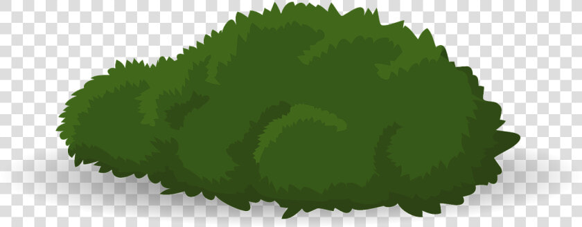 Bush  Verde  Arbusto  Hierba  Exuberante  Planta   Cartoon Tree Bush Png  Transparent PngTransparent PNG