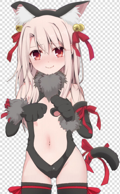 Illya Fate Kaleid Neko  HD Png DownloadTransparent PNG