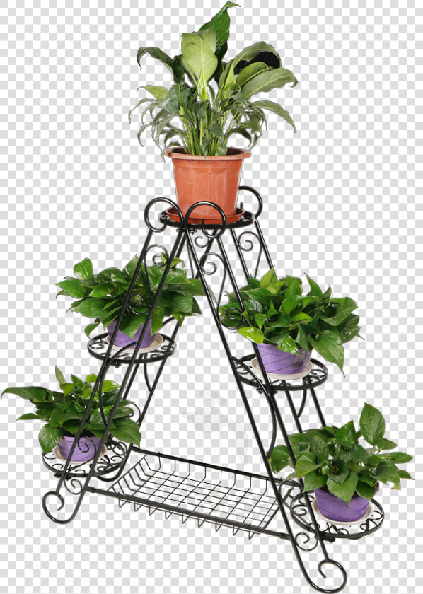 Organizador De Plantas  HD Png DownloadTransparent PNG